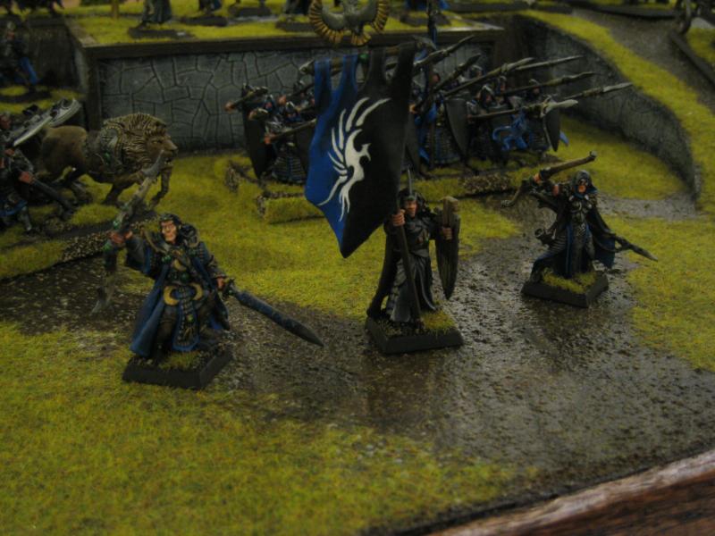 Adepticon, Hero, High Elves, Standard Bearer, Warhammer Fantasy