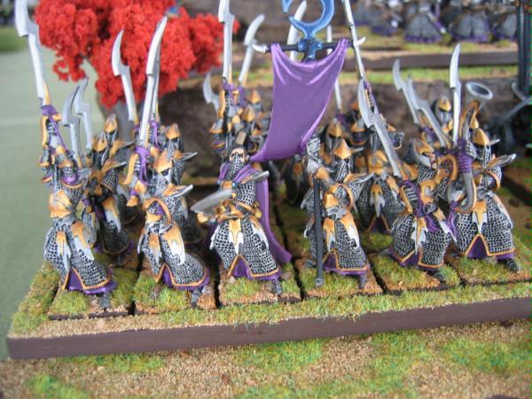 Dark Elves, Executioners, Warhammer Fantasy