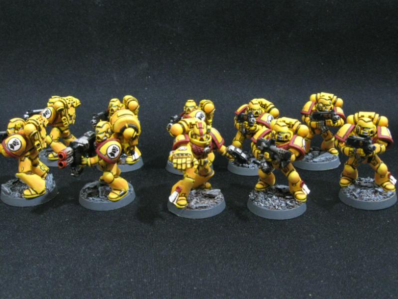 Imperial Fists, Space Marines, Tactical Squad, Warhammer 40,000, Yellow