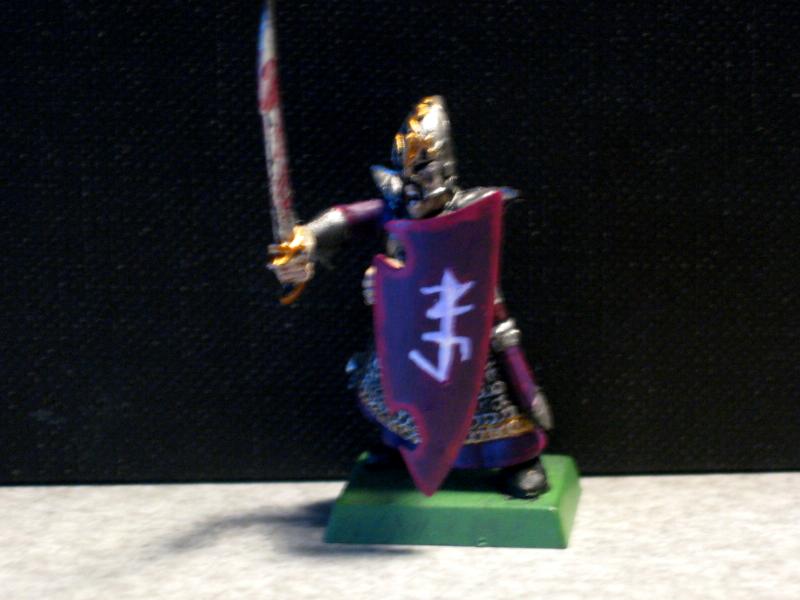 Dark Elves, Dark Elf Warrior