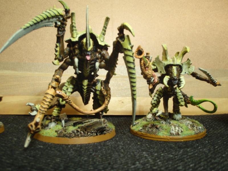 Tyranids, Tyrant comparison