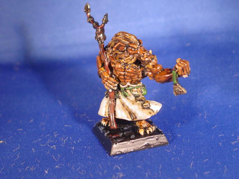 Fantasy, Dungeons and Dragons, Shaman