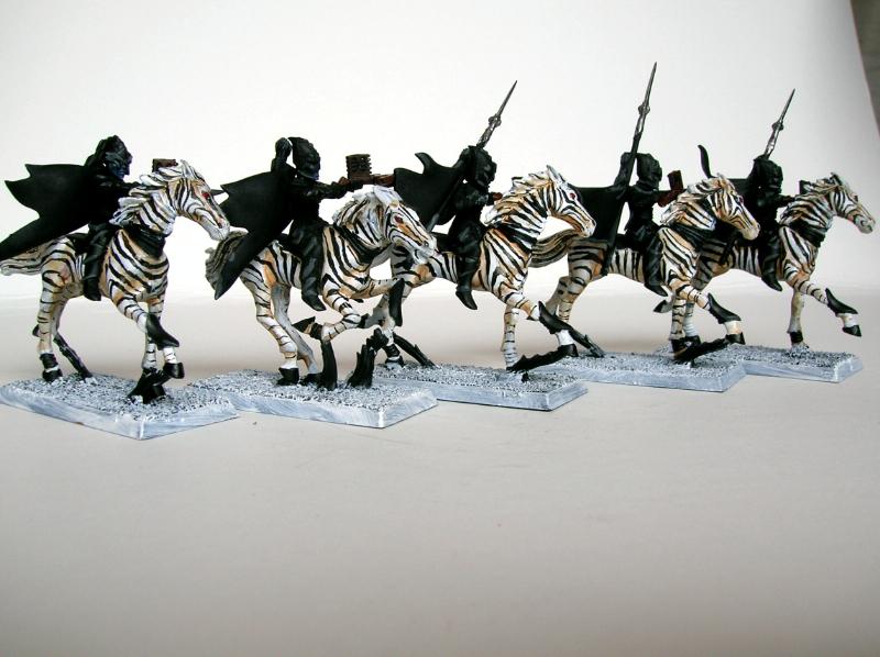 Dark Elves, Warhammer Fantasy, Zebra, Zebra Riders