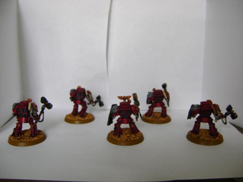 Assault, Showcase, Storm Shield, Terminator Armor, Terra, Thunder Hammer