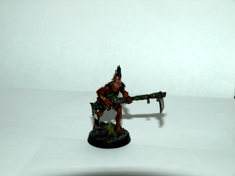 Trasvi's Painted Kroot
