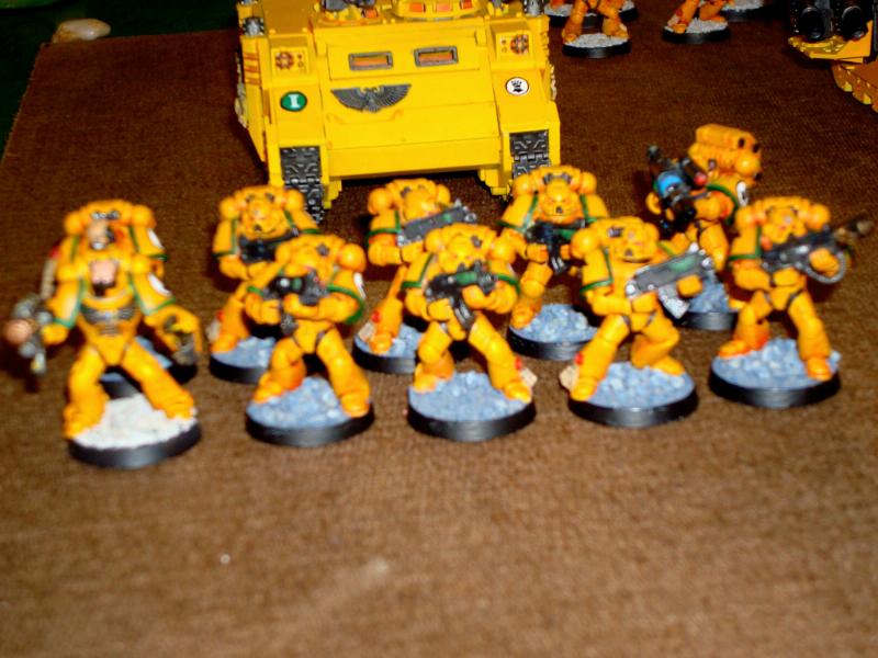 Imperial Fists, Space Marines, Tactical Squad