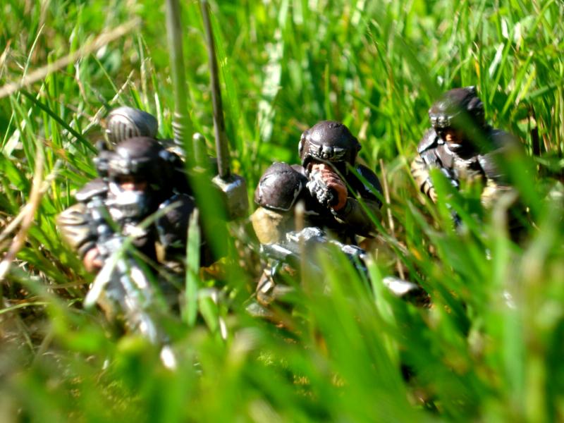 Cadians, Imperial Guard