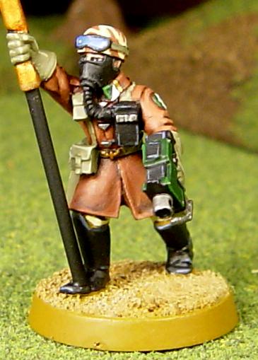 Imperial Guard, Standard, Steel Legion