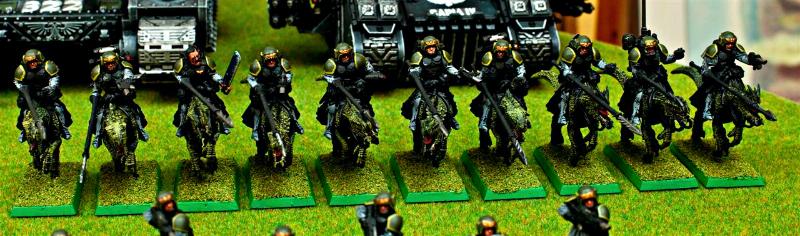 Cold Ones, Guard, Imperial, Imperial Guard, Rough Riders