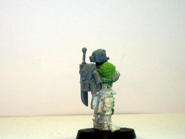 Photo whippy swamp guards