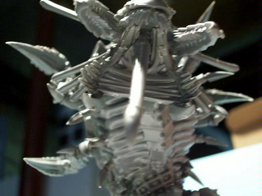 Mawloc