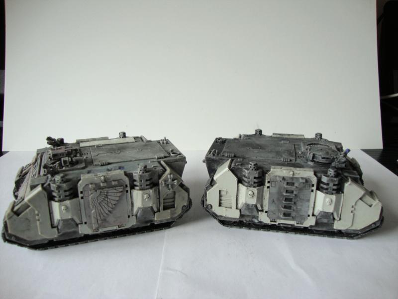 paint striped rhinos 3