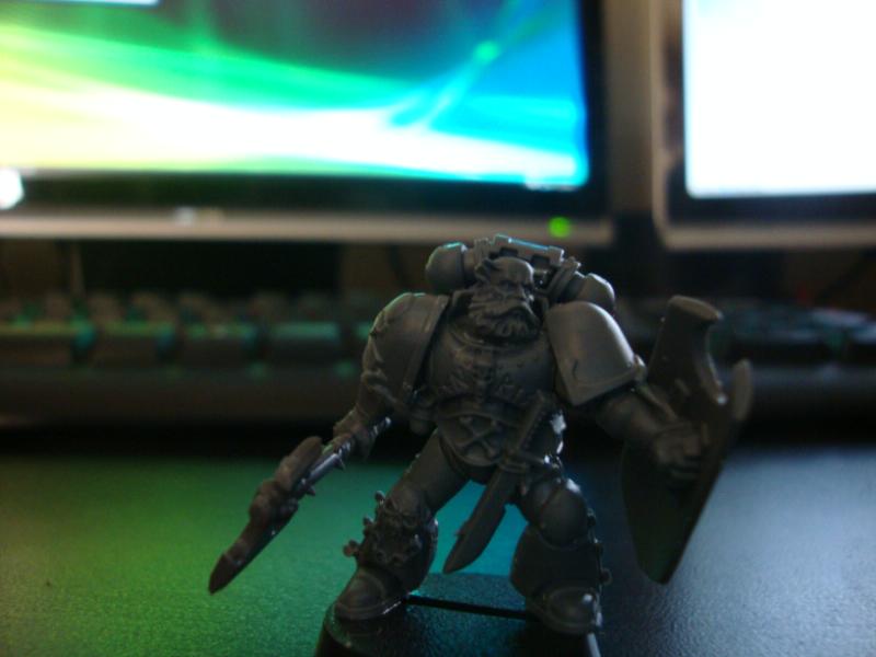 Space Marines, Space Wolves