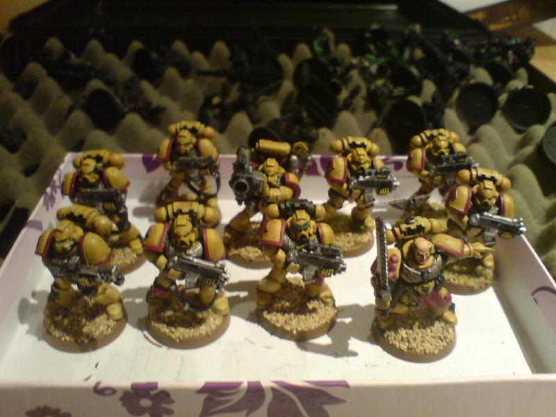 Imperial Fists, Space Marines