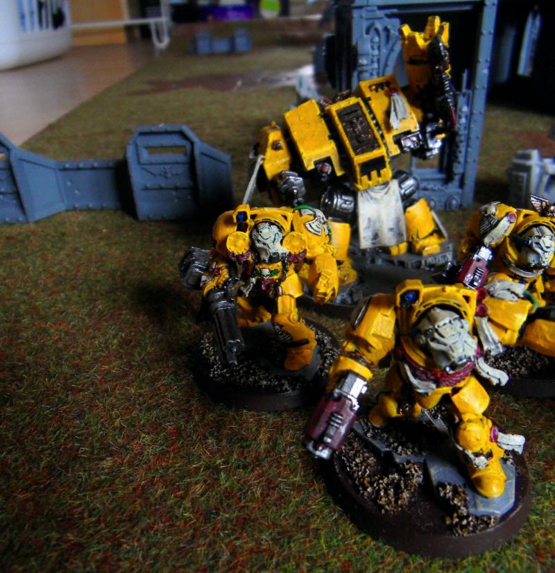 Imperial Fists, Space Marines