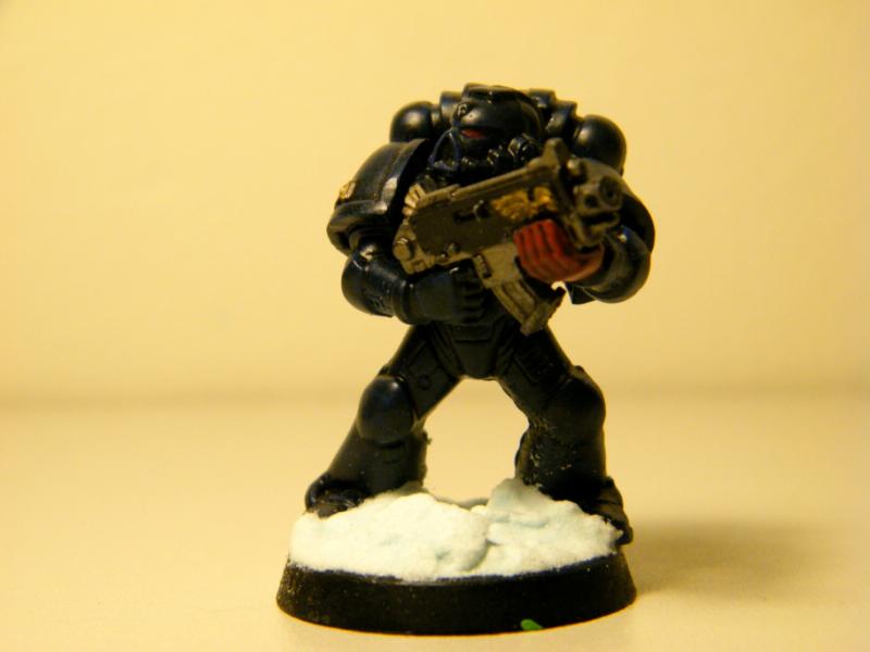Crimson Fist, Crimsone Fists
