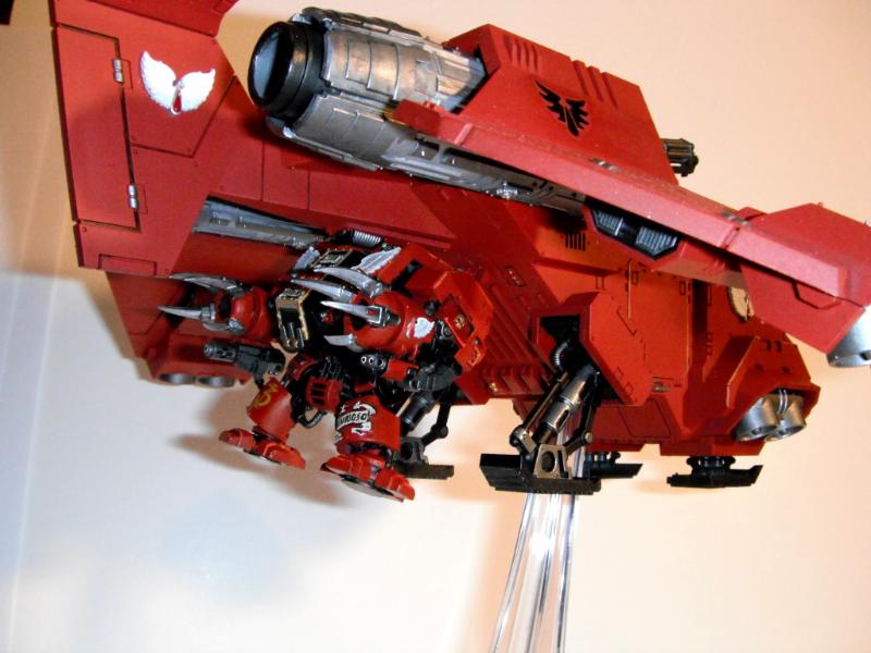 Storm Raven Pictures