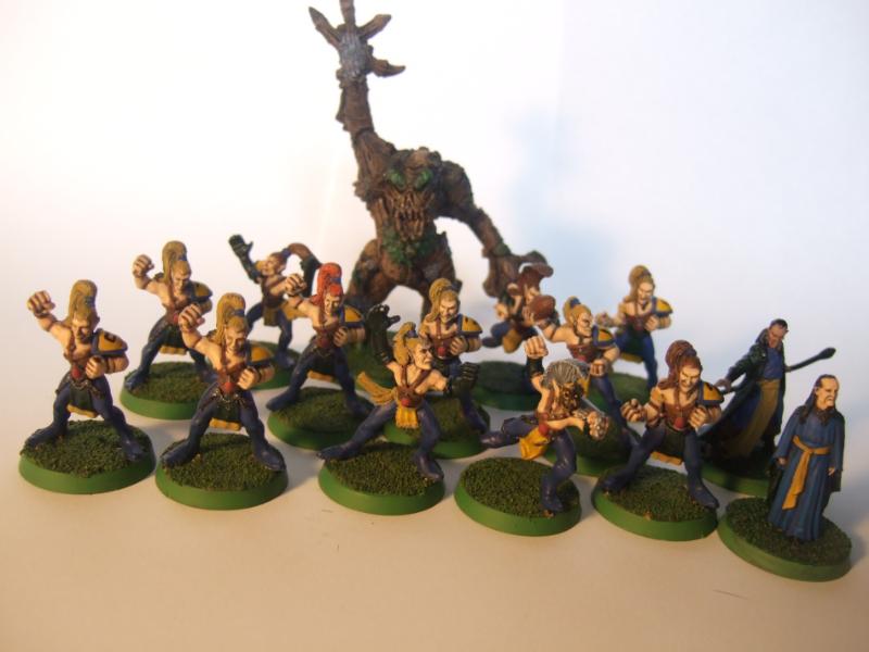 Blood Bowl, Treeman, Wood Elves Blood Bowl Wood Elf team Gallery