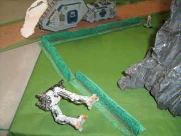 Sentinal Down