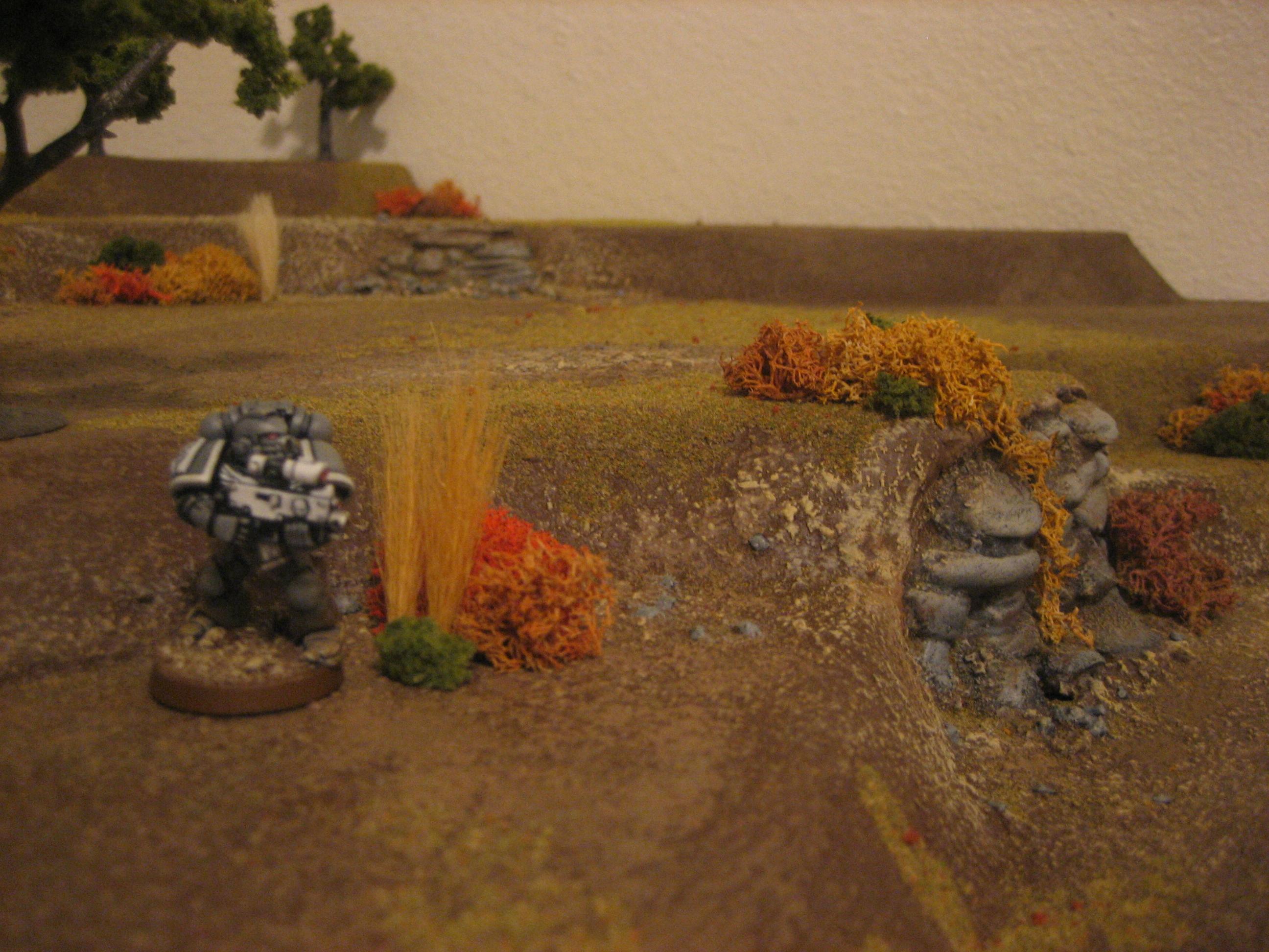 Autumn, Foliage, Game Table, Grass, Hills, Terrain