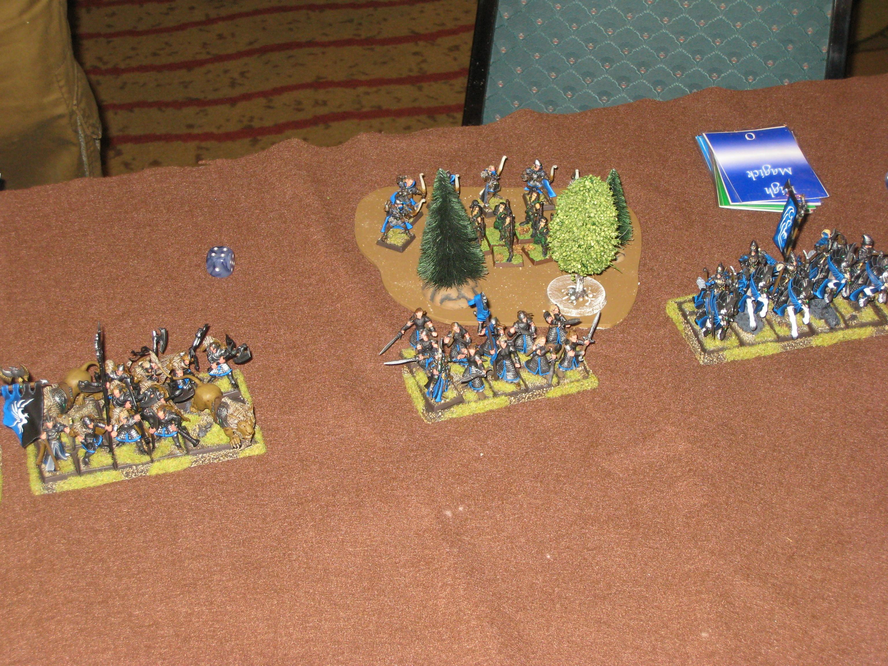 Action, Adepticon, Conversion, High Elves, Warhammer Fantasy, White Lions, Wood Elves