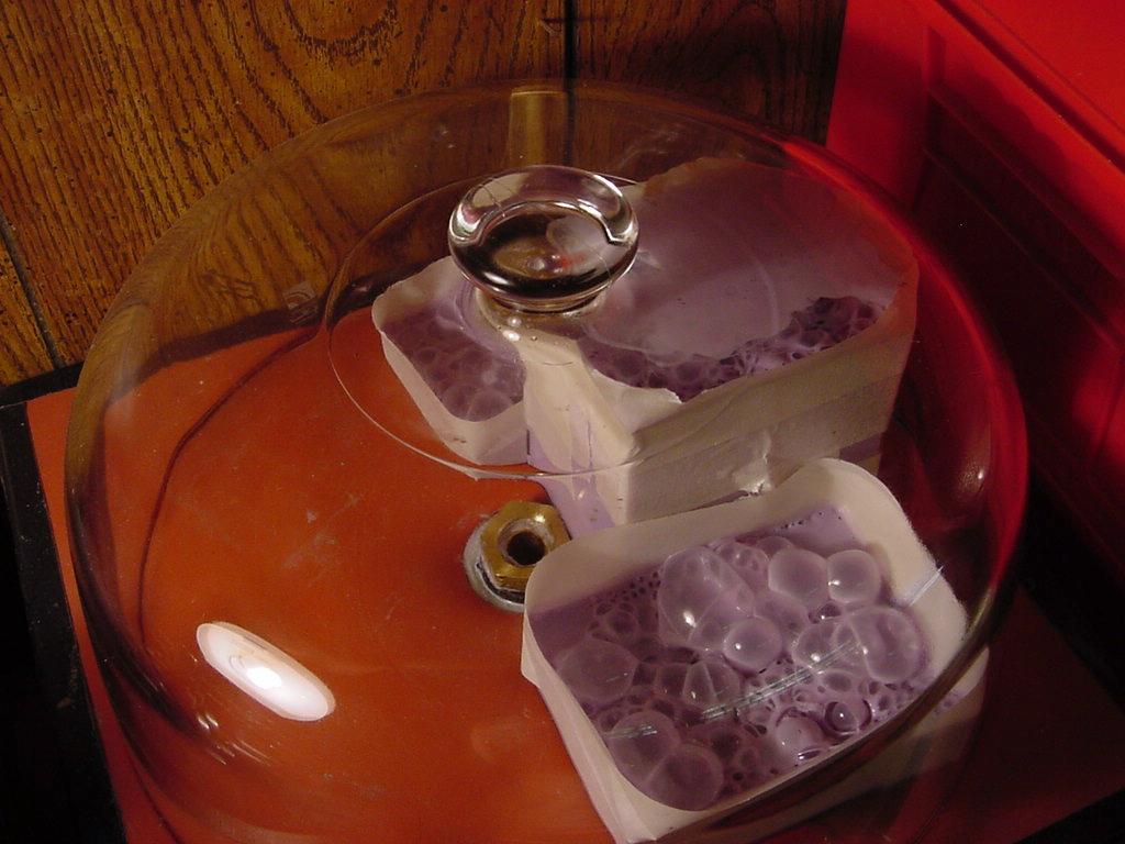 The molds in the vaccume