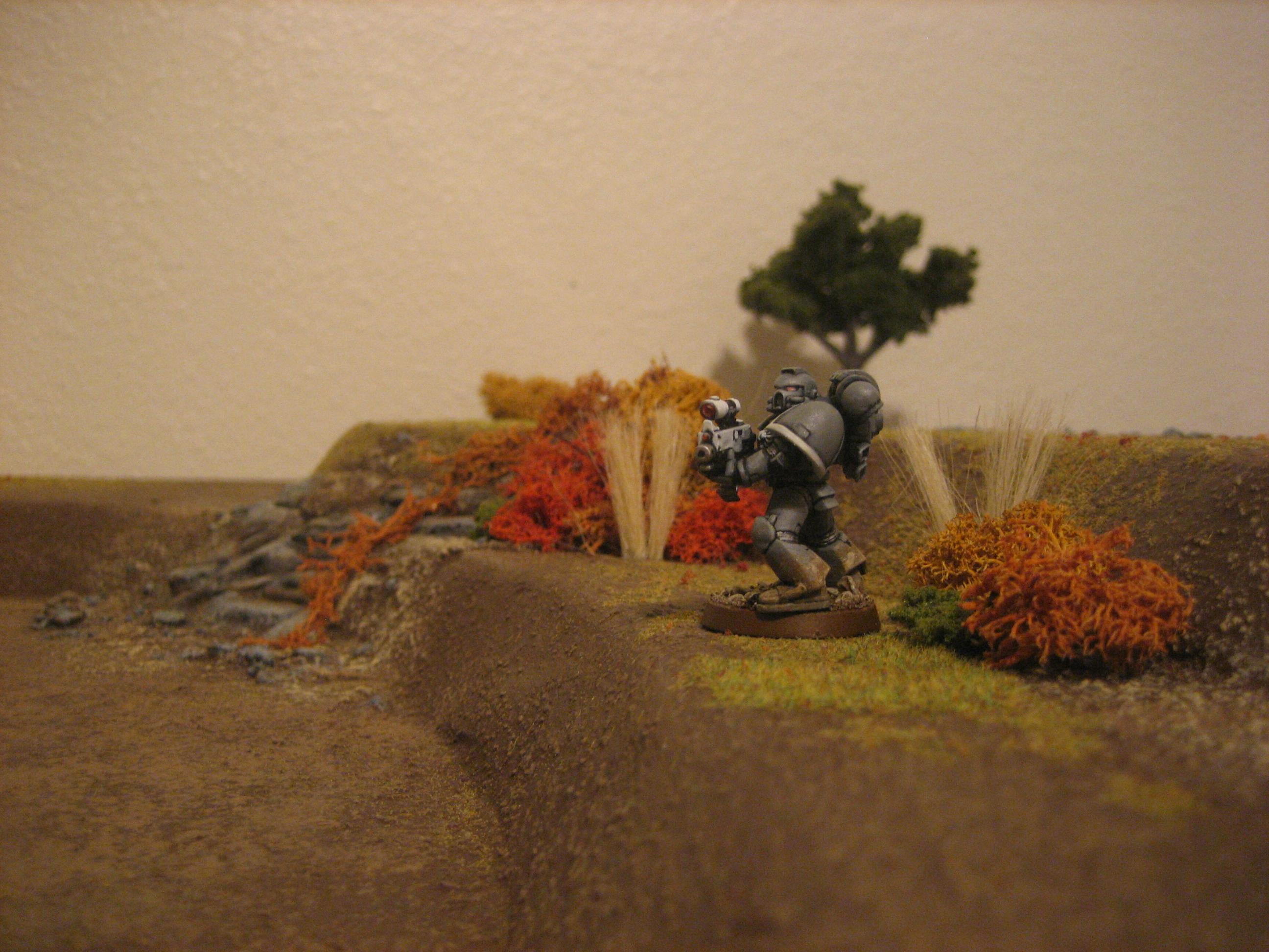 Autumn, Foliage, Game Table, Hills, Terrain