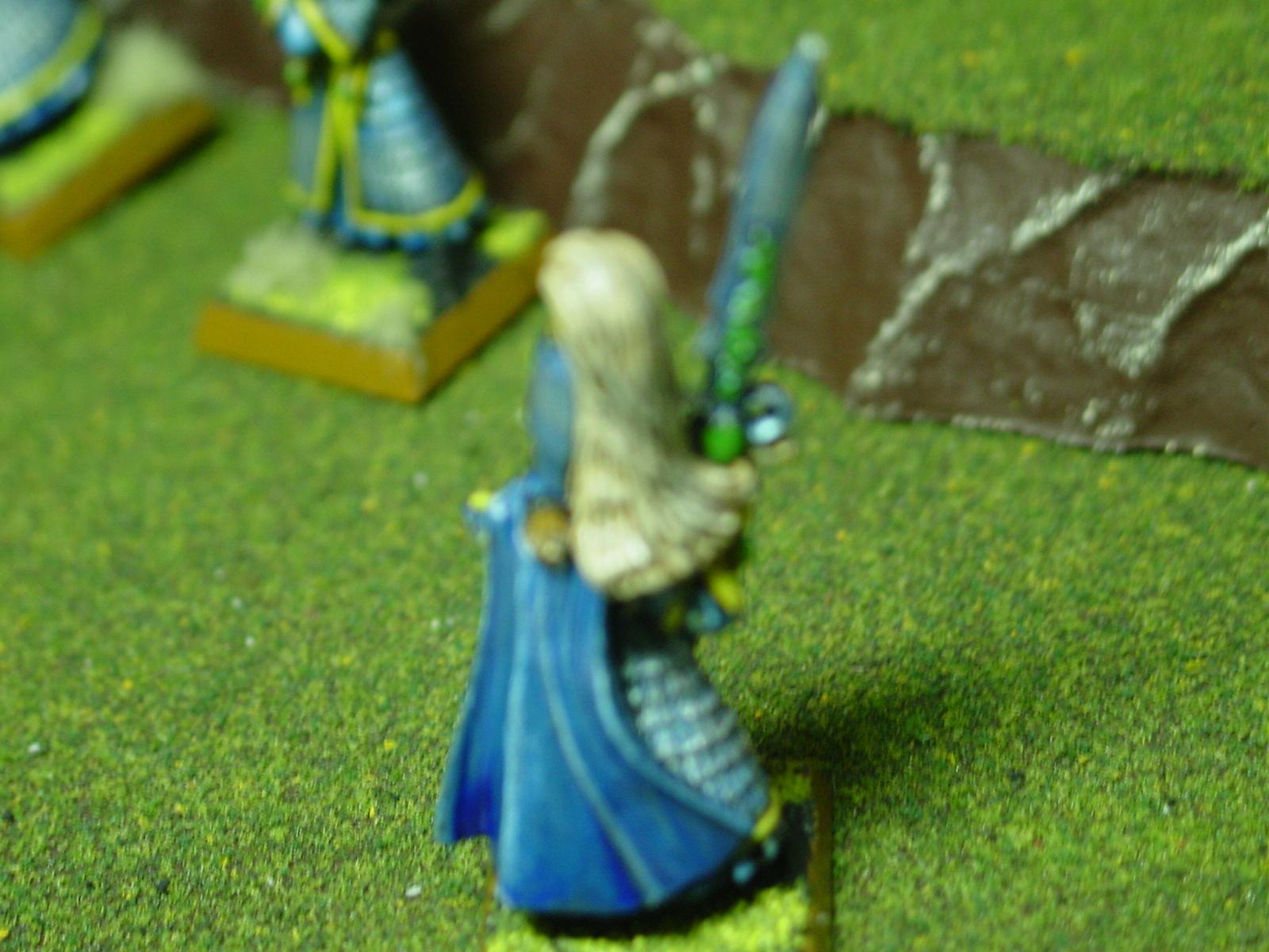 Blurred Photo, high elf swordmaster champion