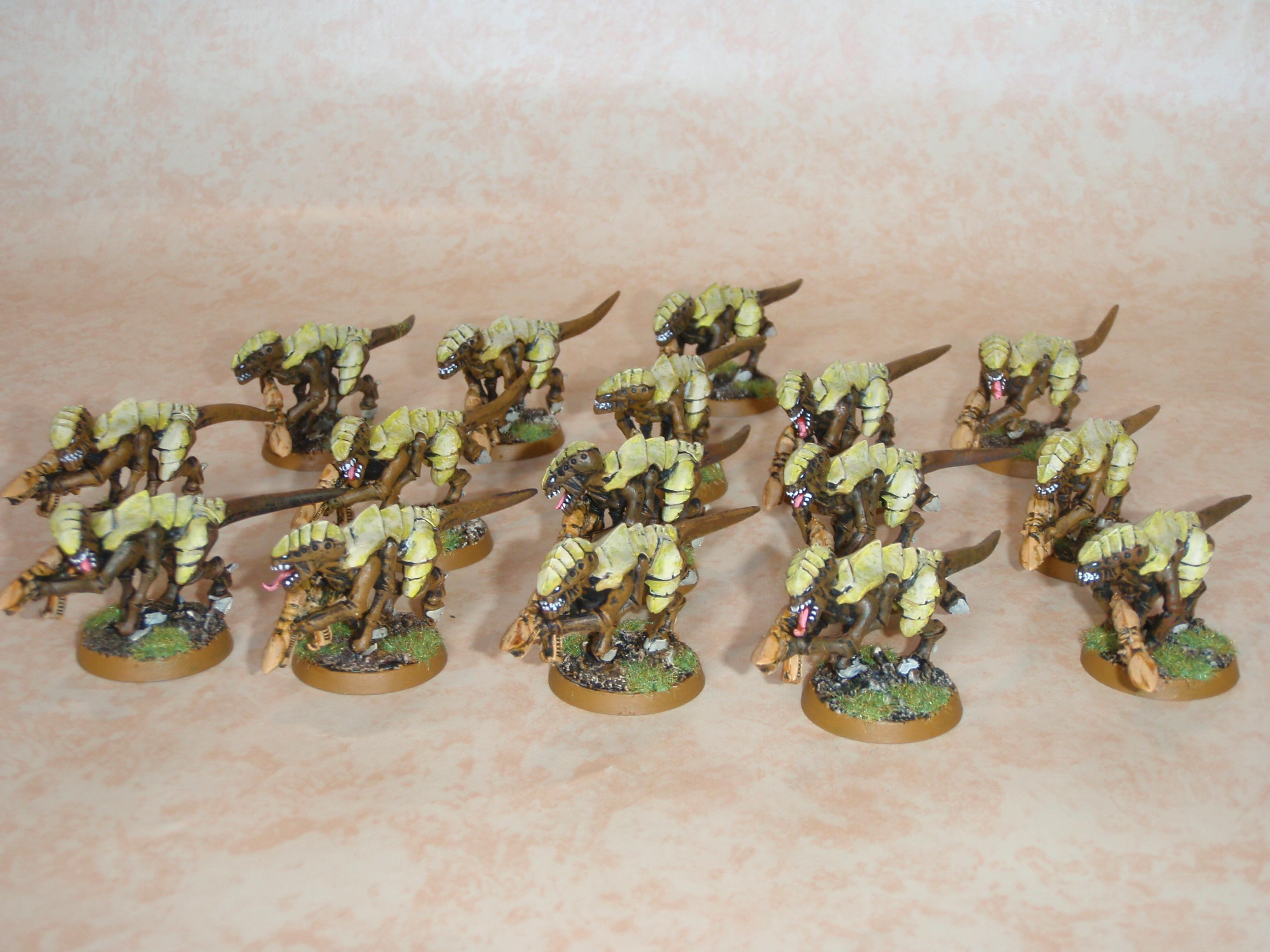 Termagants, Tyranids