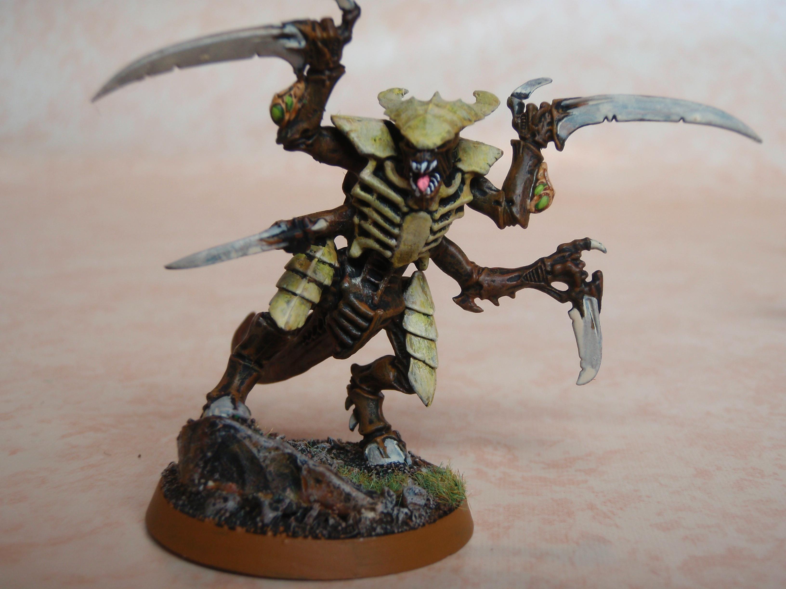 Tyranids, Warriors, Left foot in
