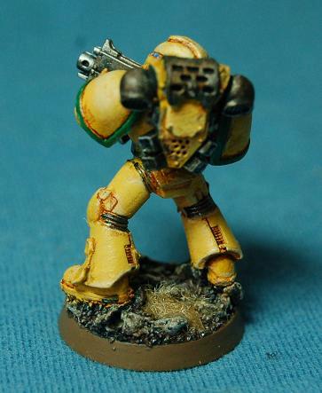 Highlight edges w/ 75/25 White/Golden, flesh wash in the cracks