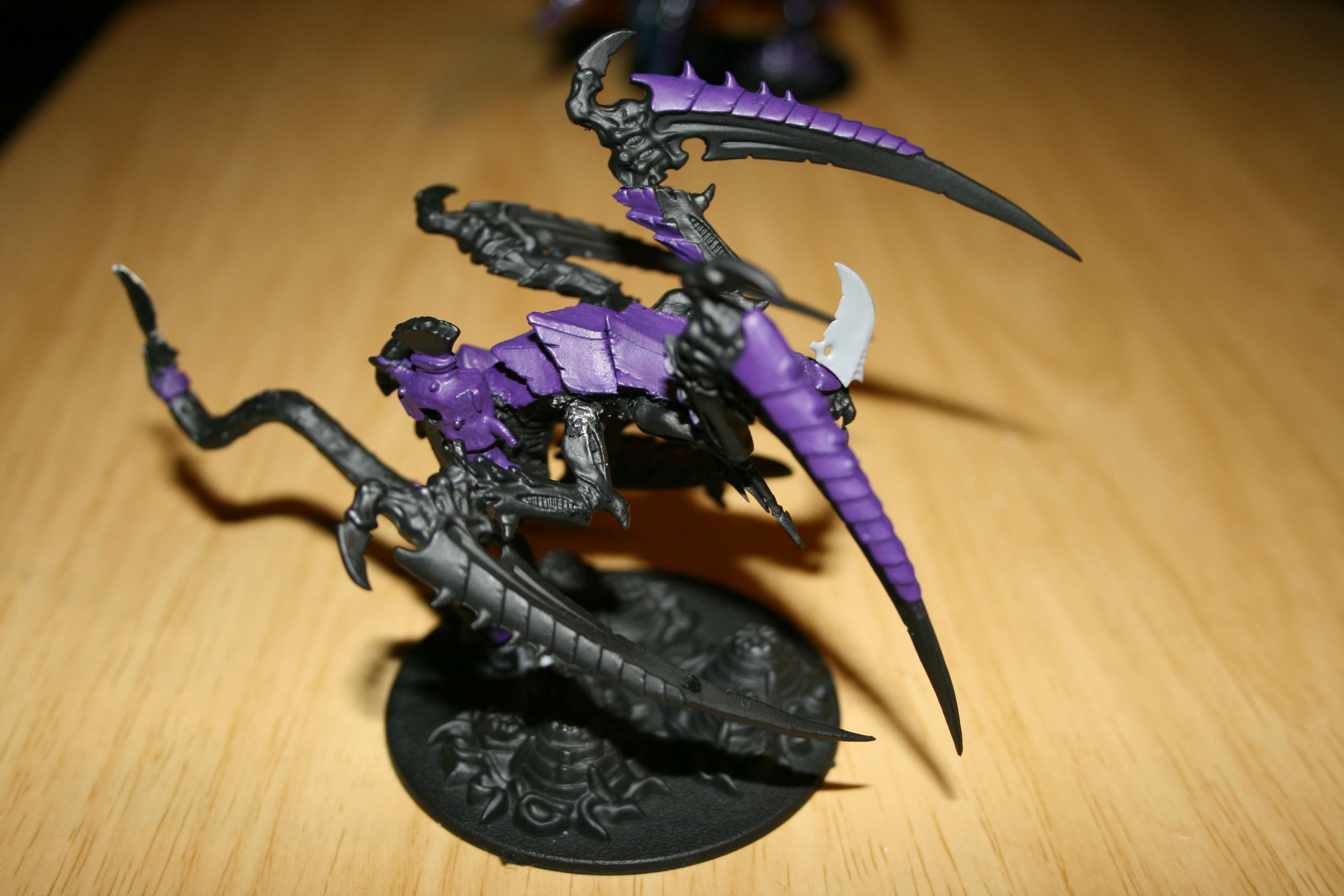 Xenos
