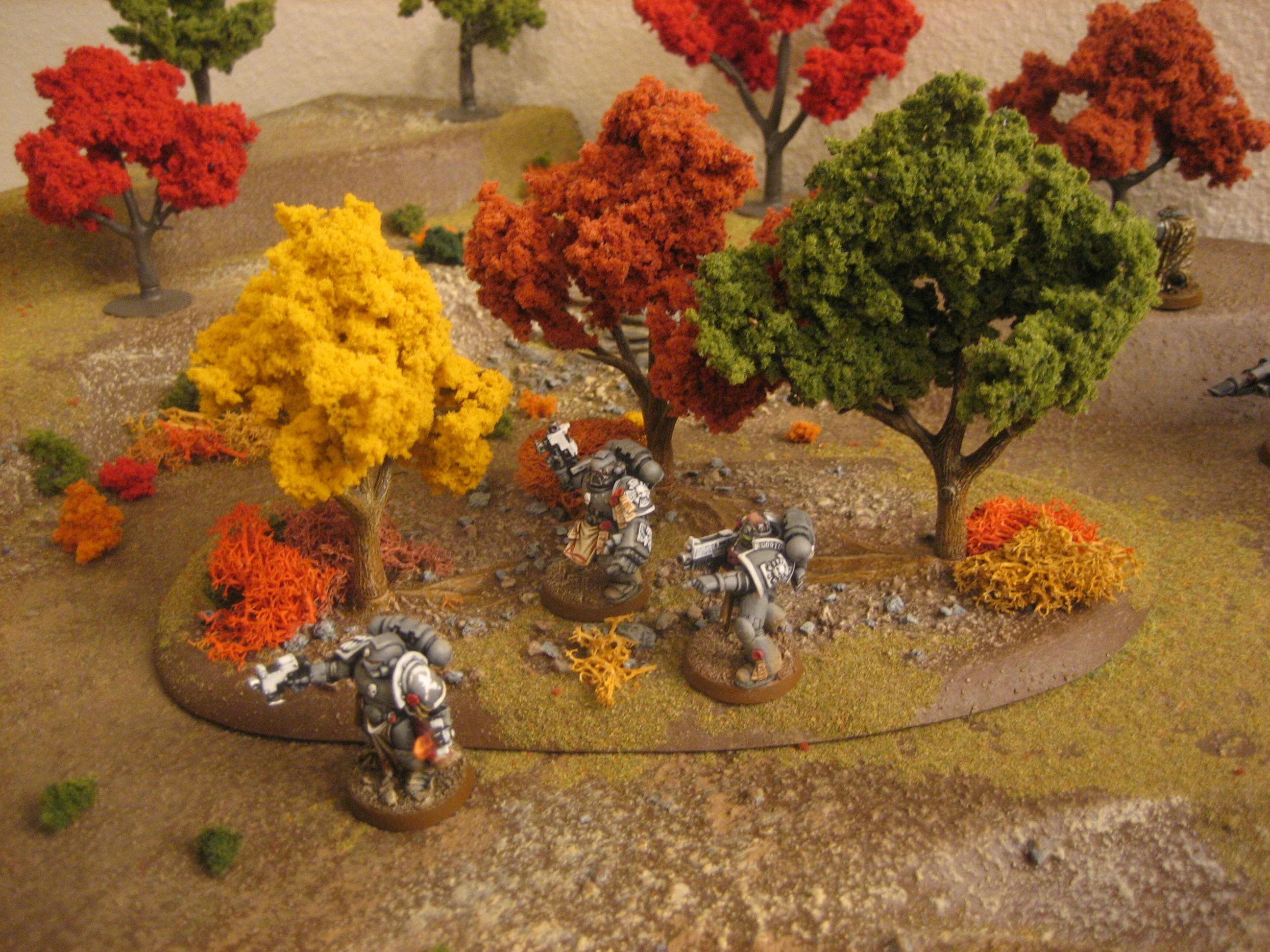 Autumn, Infantry, Space Marines, Terrain, Warhammer 40,000