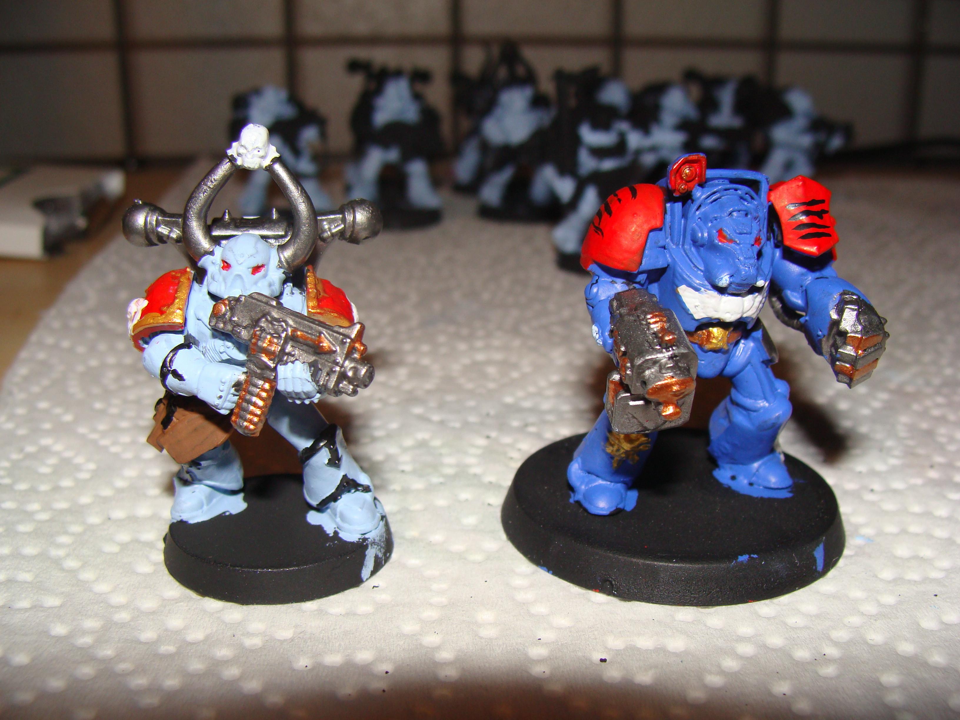 termi and csm