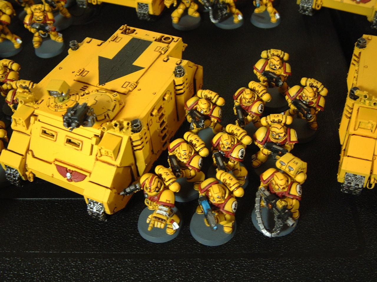 Imperial Fists, Infantry, Rhino, Space Marines, Warhammer 40,000