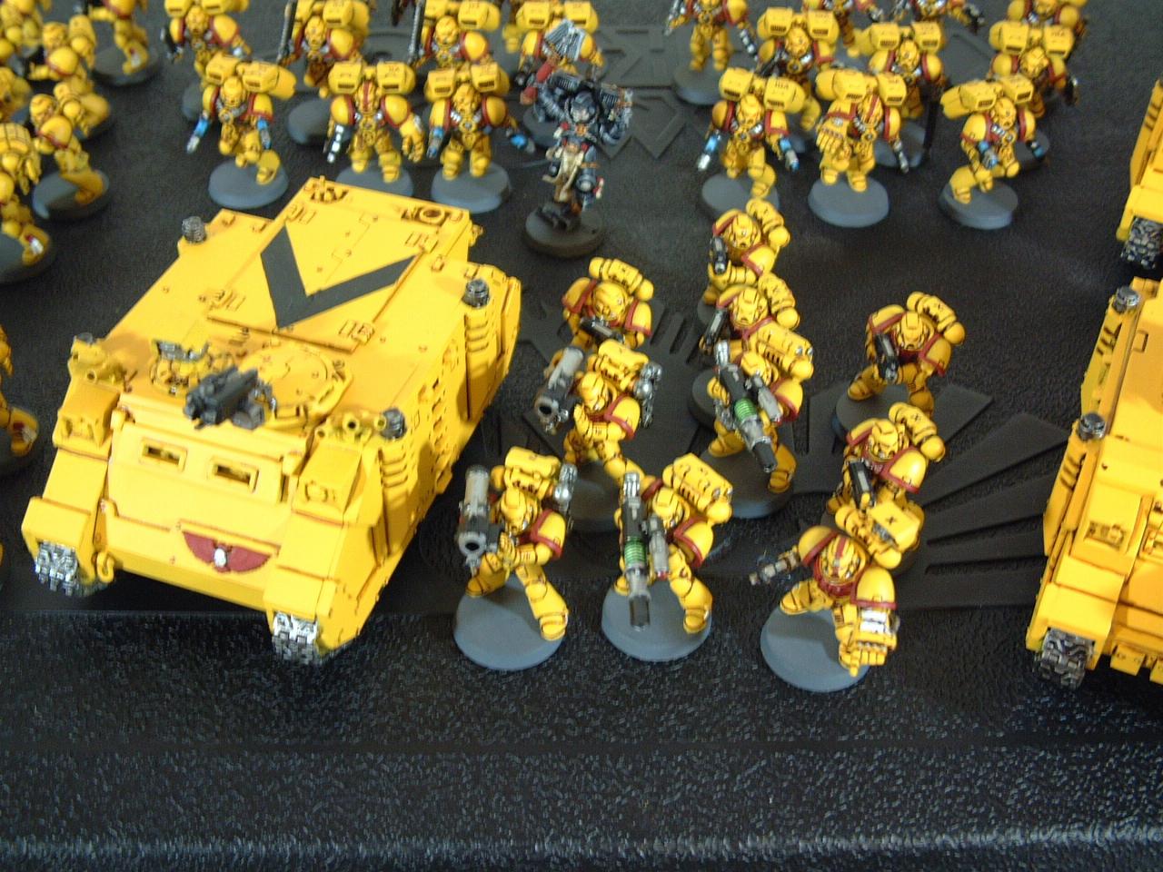 Marine Imperial Fist