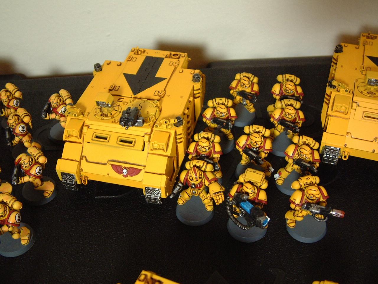 Imperial Fists, Rhino, Space Marines, Warhammer 40,000