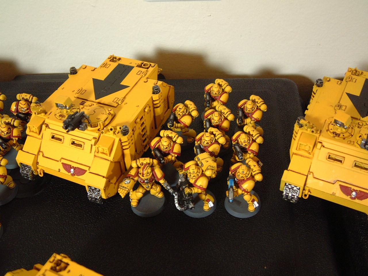 Army, Imperial Fists, Rhino, Space Marines, Tactical Squad, Warhammer 40,000