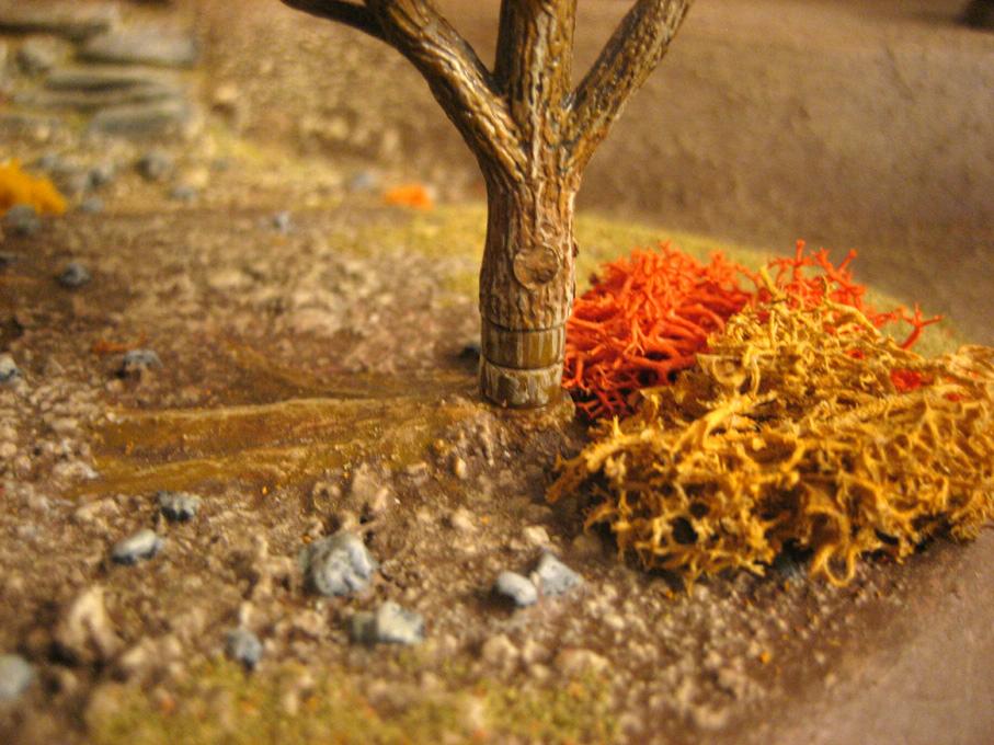 Autumn, Magnet, Terrain, Trees
