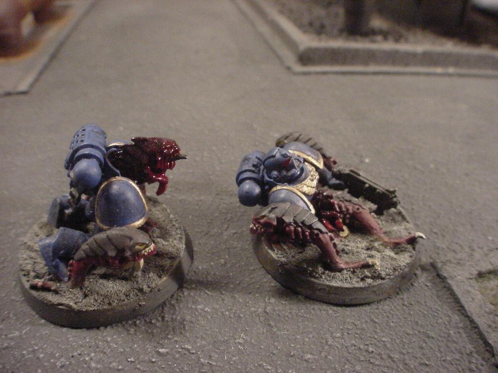 Swarm, Tyranids