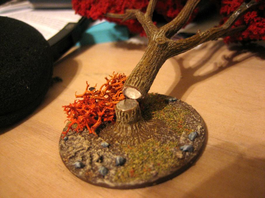Autumn, Magnet, Terrain, Trees