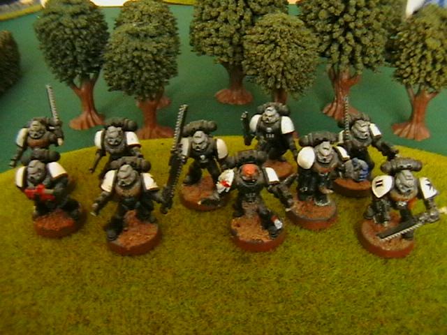Black Templars, Space Marines, Troops, Warhammer 40,000