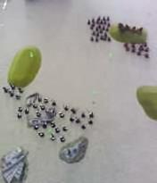 beginning of Nid VS BT turn one