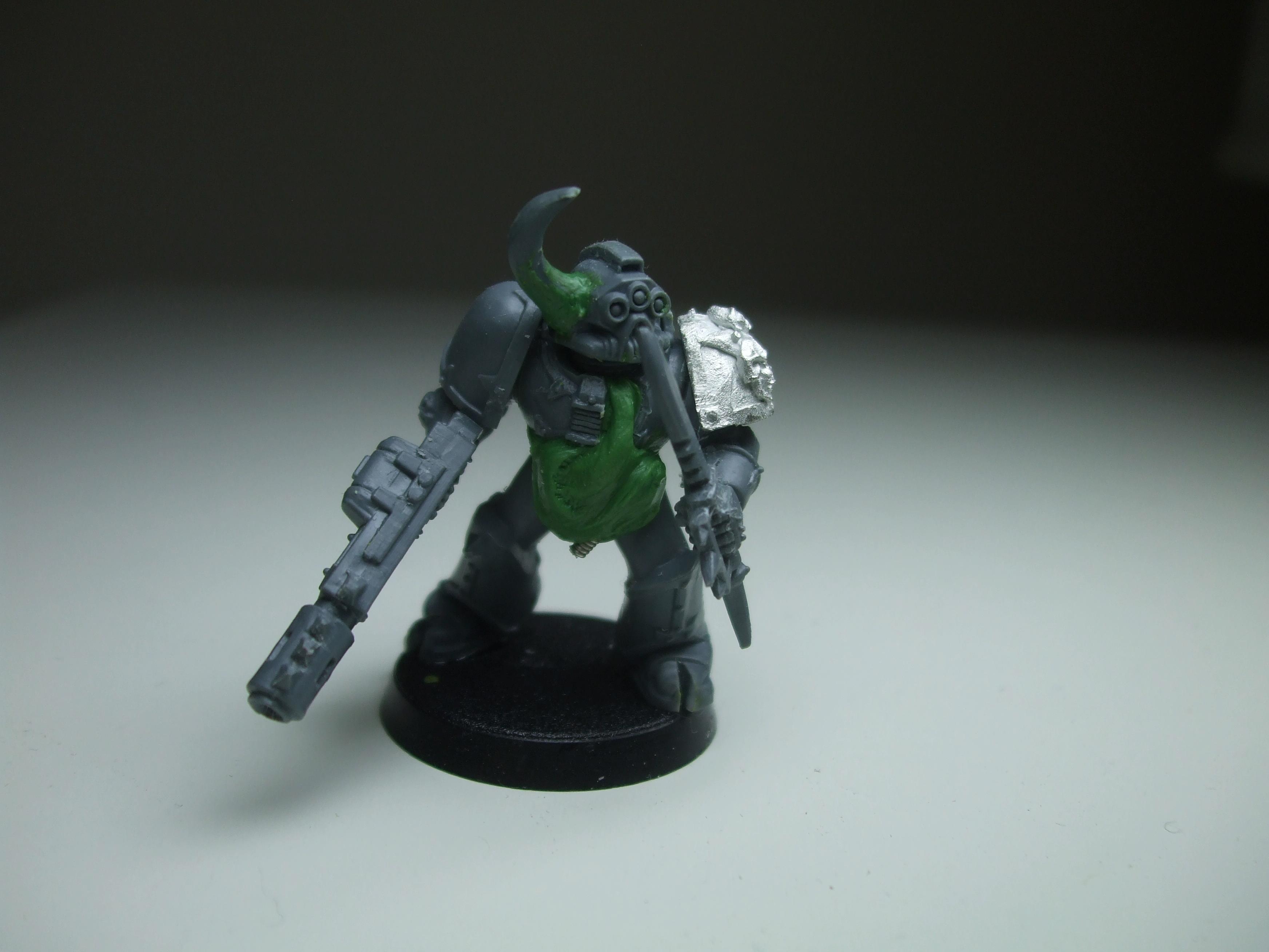 Nurgle, Plague Marines