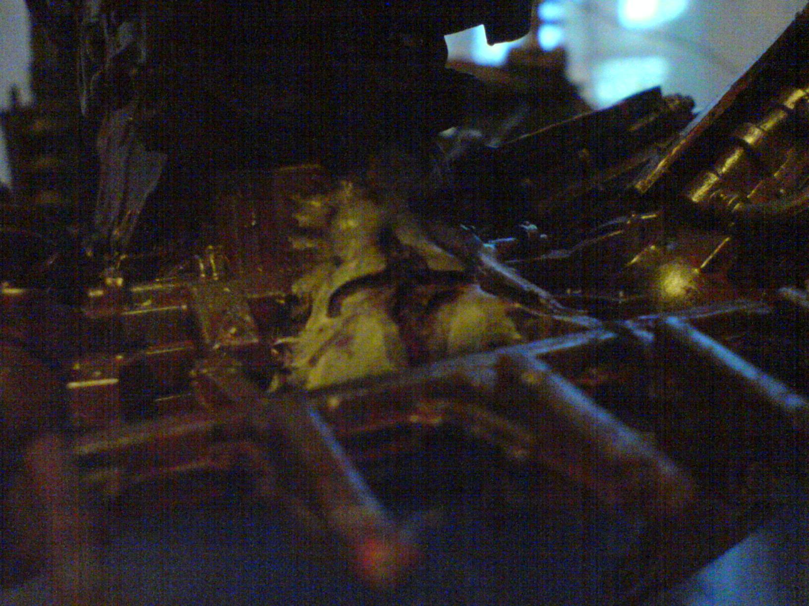 Defiler, da daemon bitz krawlin out
