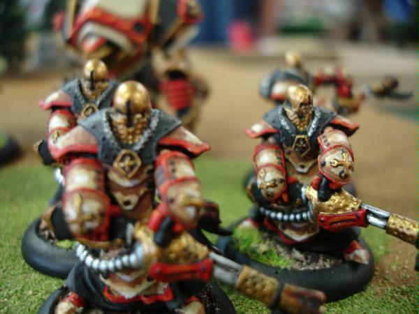 Warmachine, DSC00183