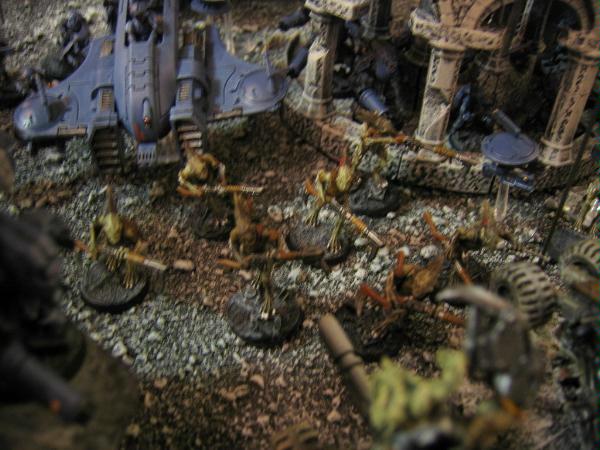 Adepticon, Kroot, Orks, Tau