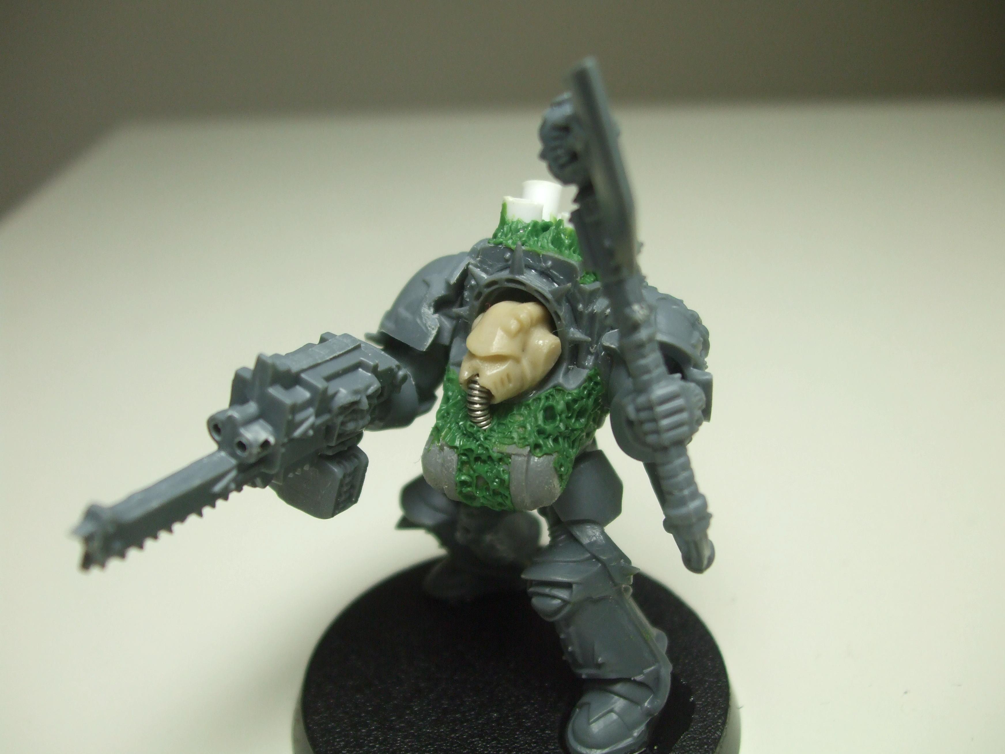 Chaos Space Marines, Nurgle