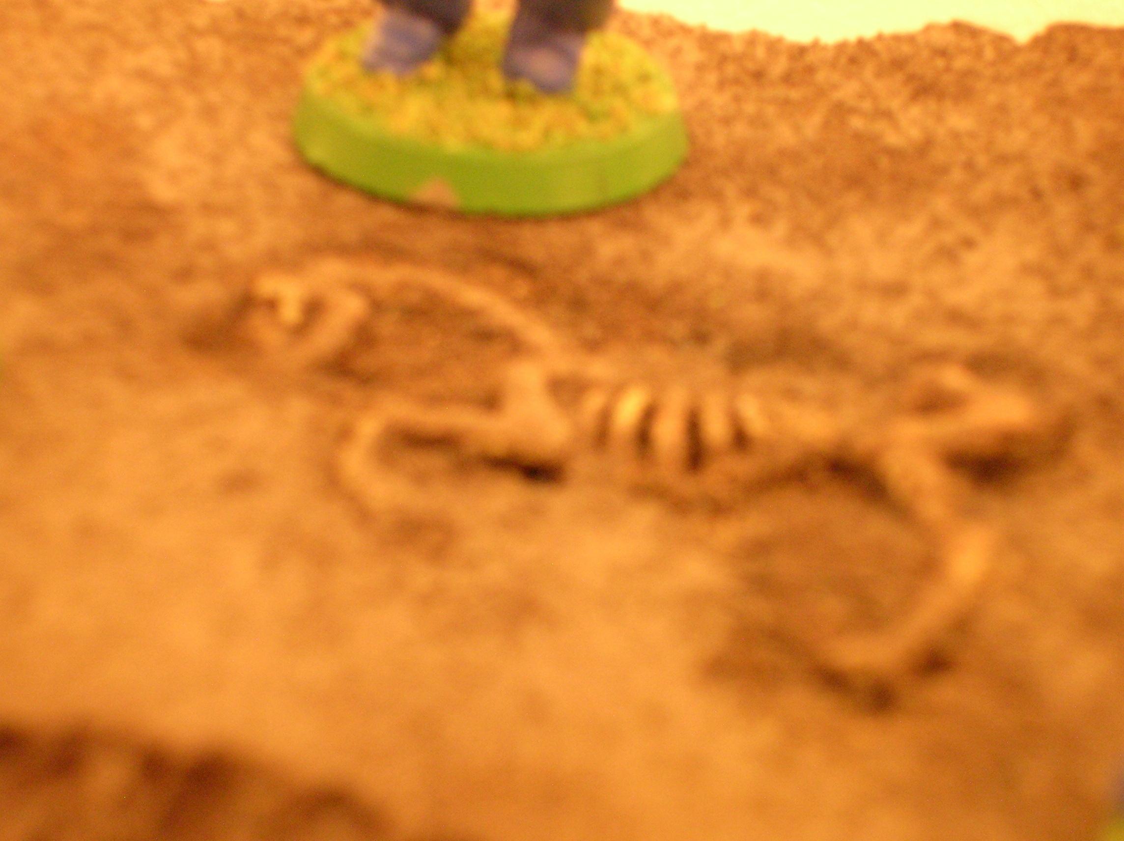 The ancient, dead horse in the hill the Dev squad is on