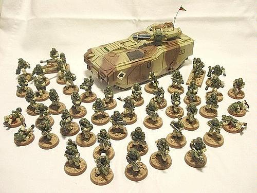 Pig Iron heavy Infantry Platoon w/Ironstorm IFV